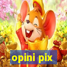 opini pix